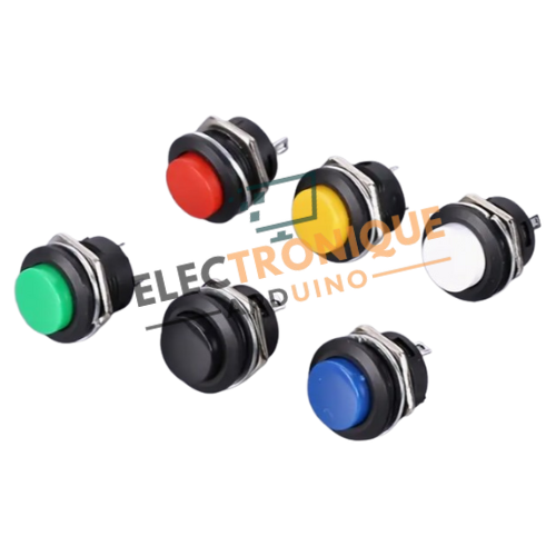 Interrupteurs à bouton-poussoir 16mm R13-507